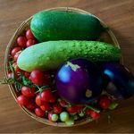 二娃的楼顶菜园