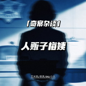 人贩子梅姨落网，追缉23年终归案【奇案杂谈71】