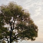 昵称是不是两个字