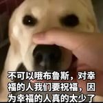 www辉夜