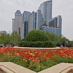 闲闲di