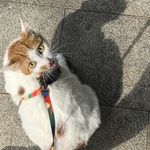 有空就唠唠