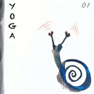 瑜伽｜Shine：Ashtanga Yoga是什么