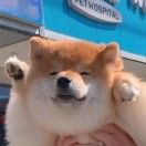 oiii壹一