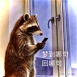 亚当的吉他