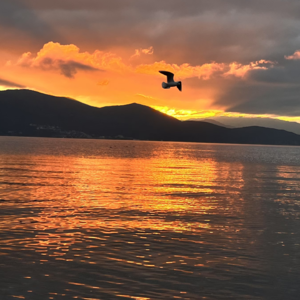 27-年运前菜！明年你的哪个十神会被合掉？会对运势有什么影响呢？