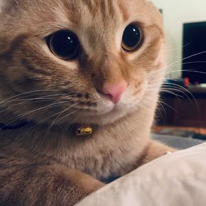 史蒂夫说150期 - 作为女儿如何看待父亲的情人？