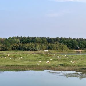 阙里playlist丨声音拼贴