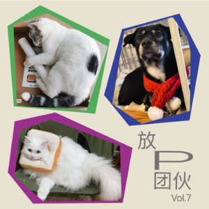 那些小动物教会我的事｜007