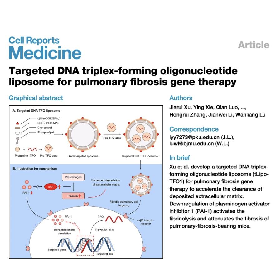 1324-DNA TFO Liposomes for Pulmonary Fibrosis Gene Therapy episode artwork