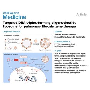1324-DNA TFO Liposomes for Pulmonary Fibrosis Gene Therapy