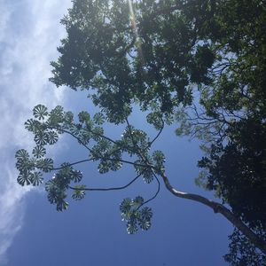 E11 为什么我越来越喜欢一个人旅行了？｜旅行1001