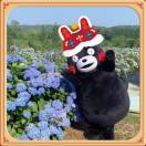 yangy_Tvnz