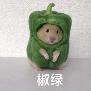 弃文从理，我不后悔｜焦虑期自救指南