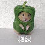 弃文从理，我不后悔｜焦虑期自救指南