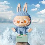 多肉小姐养多肉