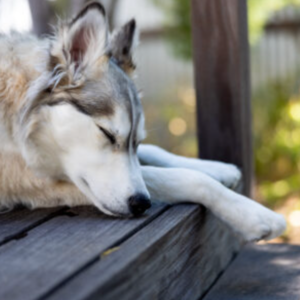 Vol.02｜孩子提出不想上学，家长该答应吗？