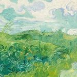 荒野绿草