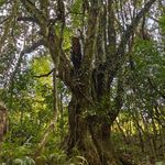 巴巴多斯北山口镇