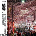 Vol.37 全年赏樱自由！线下给不了的线上来填满