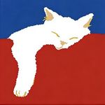 枕着你的名字入眠