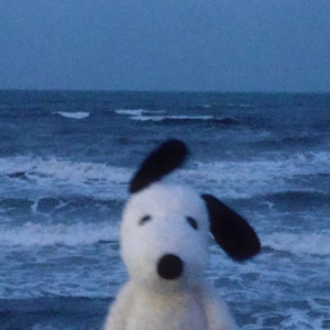 跟孩子沟通,有一种方式很简单、很有效,却被大多数父母忽略了