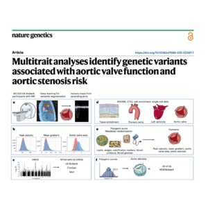 479-Genetic Architecture of Aortic Valve Function