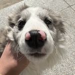 一束朝阳