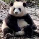过儿万事大吉