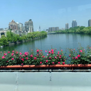 天只晴了一天,人也像只清醒了一天