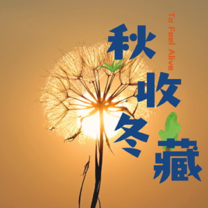 ep.03 秋冬断舍离 之 再见爱人