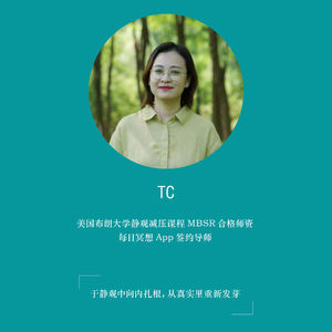 三步呼吸空间(自我关怀版)_20分钟_TC带领