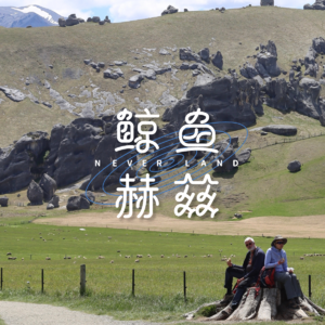 Vol.188 新西兰旅行下篇:在马尔堡酒庄畅饮,惠灵顿的刀削面很好吃