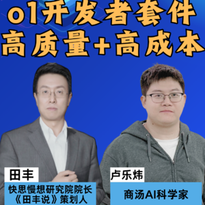 第376集 o1开发者套件，高质量+高成本