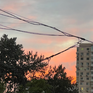 vol.03 “高素质”诈骗嫌疑人来电，数次质疑的我为何还是上套了？