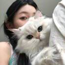 冻冻脑筋