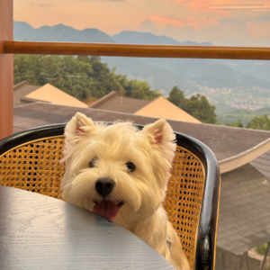 Vol.06 P人配做年终总结吗（下）？