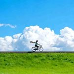 畅游在爱的海洋