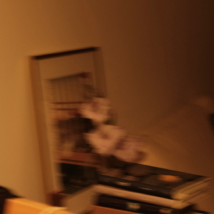 vol.1 张爱玲的小团圆：缺陷才像圆，人生方好演