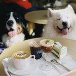 原地起飞小陀螺