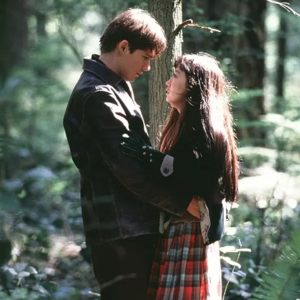 《雪落香杉树》（上）|雪崩时，没有一片雪花是无辜的