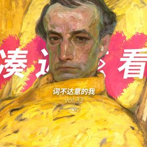 VOL 33 - 词不达意的我：再次向你介绍我自己