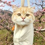 元宝吃不饱ya