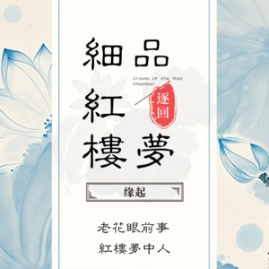 宝叔逐回细品红楼梦