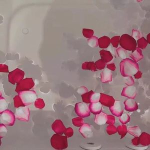 是曼曼呀