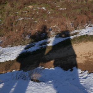 006 | 花5w大洋学的教练技术，如何改变我的人生轨迹？