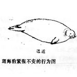 404披萨心肠