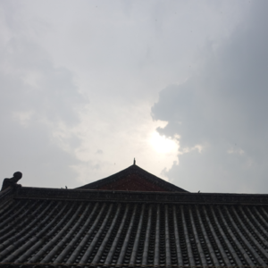 #005 王曦：为什么读古文？我是中国人，可我也是现代人