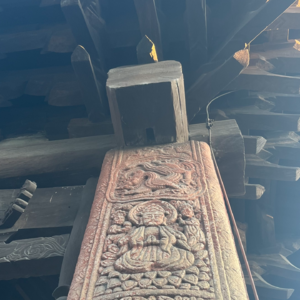 020 |《洞见》:自然选择只关心一件事,那就是基因传递