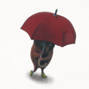 小鼩鼱|也许平凡的生活中有不平凡